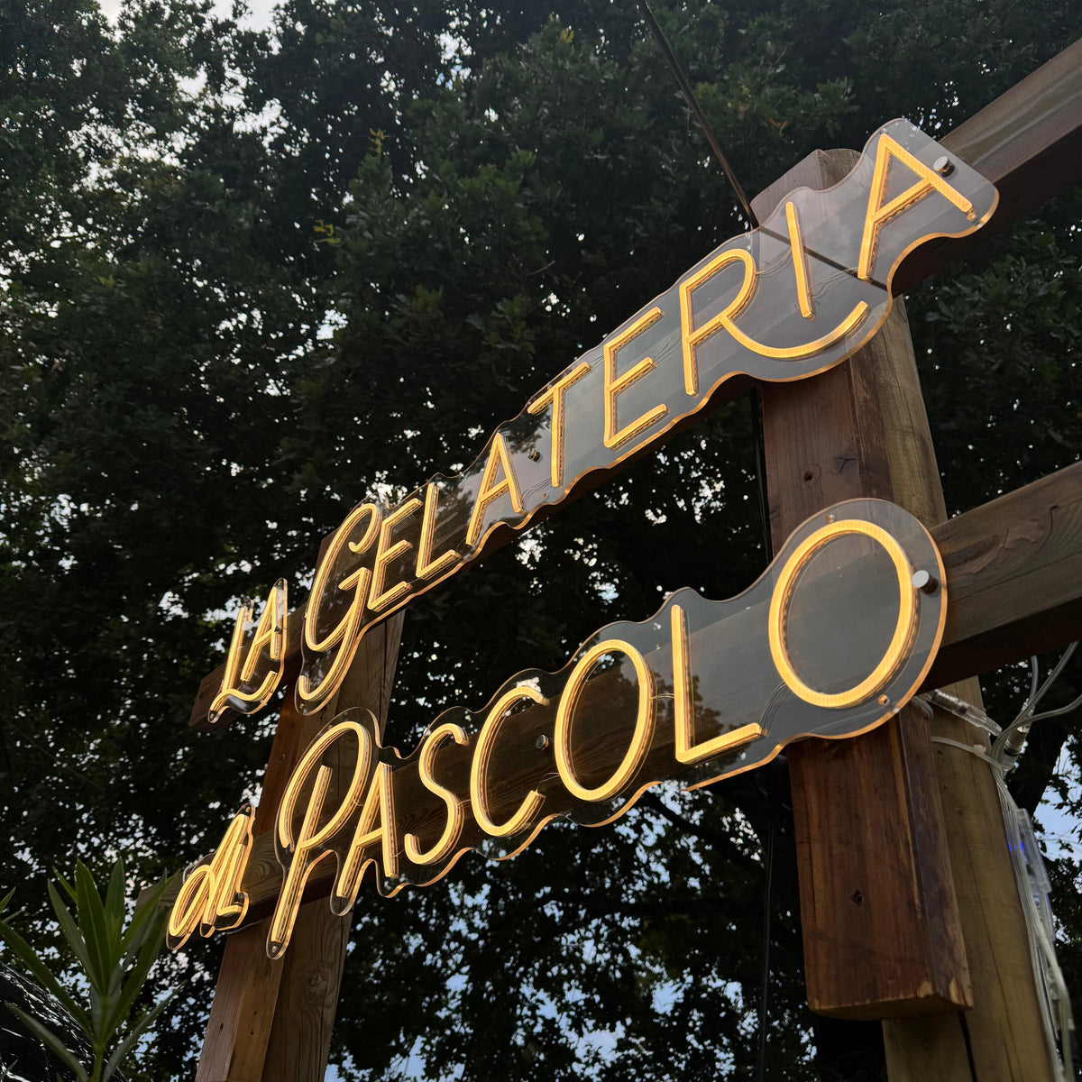 Le nostre creazioni